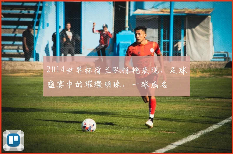 2014世界杯荷兰队惊艳表现，足球盛宴中的璀璨明珠，一球成名