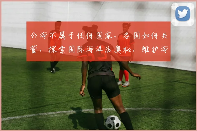 公海不属于任何国家，各国如何共管，探索国际海洋法奥秘，维护海洋权益